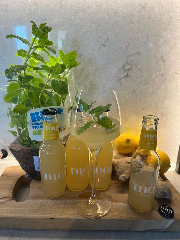 Moj sap gember/citrus BIO 12x200 ml.