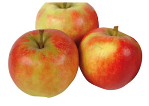 Appels Elstar 70/75 krat 11kg