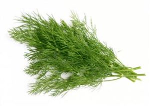 Dille bos verpakt 80gr