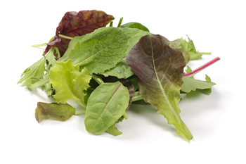 Mesclun italie gewassen 125 gr