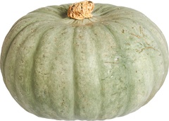 Pompoen Crown Prince BIO 10x1 kg.