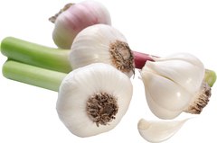 Knoflook vers BIO 2x1 kg.