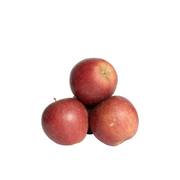 Appel nr 251 Demeter 11x1 kg.