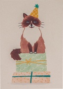 Postkaart verjaardags poes  10x1 stuks