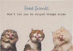 Postkaart good friends  10x1 stuks