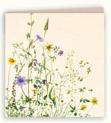 Kaart marianne veldbloemen  5x1 stuks