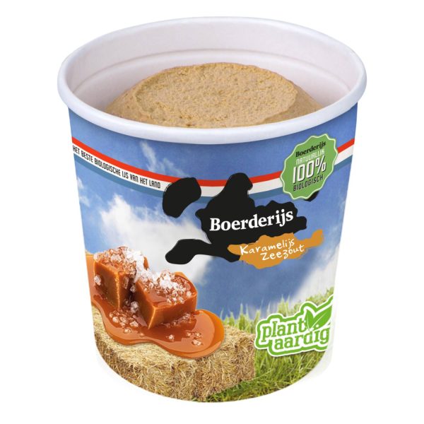 Bio Roomijs karamel/zeezout 12x120ml