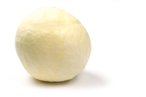 Witte kool groot p/kg.