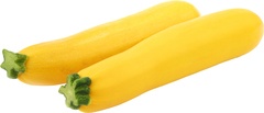 Courgette Geel BIO 5x1 kg.