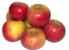 Alkmene appel Demeter 11x1 kg.