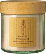 Kaars potje hyacint  6x1 stuks