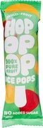 Fruitijs multi fruit BIO 24x63 ml.