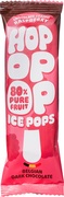 Fruitijs framboos chocolade BIO 24x63 ml