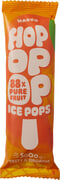 Fruitijs mango BIO 24x63 ml.