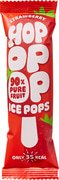 Fruitijs aardbei BIO 24x63 ml.