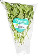 Basilicum BIO 6x20 gr.