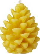 Bijenwaskaars dennenappel 6x1 stuks