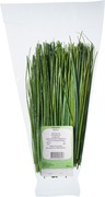 Bieslook BIO 6x20 gr.