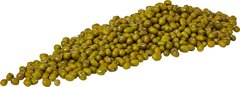 Mungbonen BIO 1x5 kg.