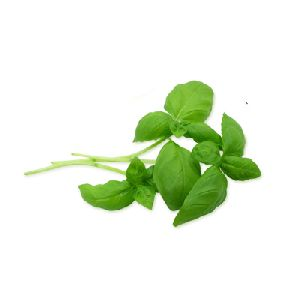 Basilicum verpakt 80gram