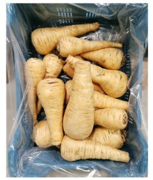 Pastinaak krat 5kg.