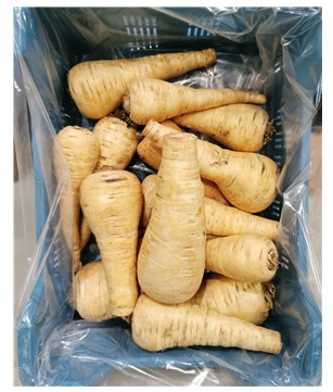 Pastinaak krat 5kg.