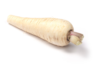 Pastinaak p/kg
