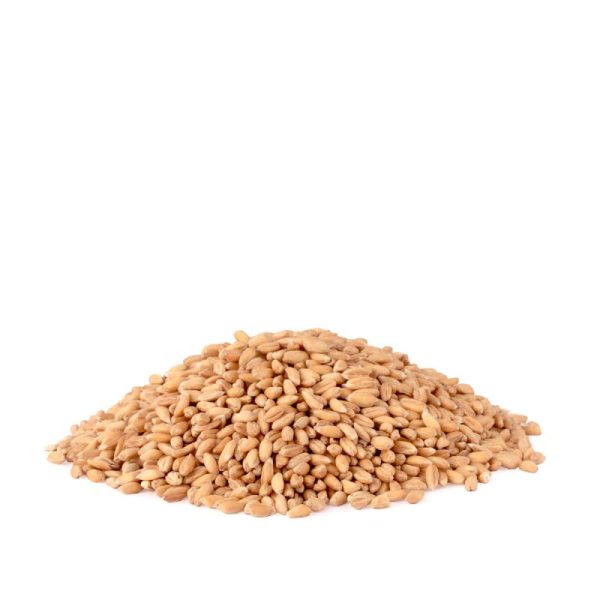Spelt zak 25 kg.
