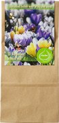 Krokus mix BIO 12x1 stuks