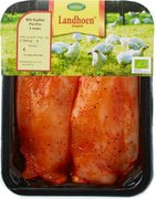 Kipfilet piri piri BIO 1x285 gr.
