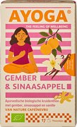 Kruidenthee gember sinaasappel BIO 6x34