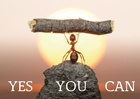 Kaart yes you can  10x1 stuks