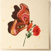 Kaart vlinderbloem schittering  10x1 stu