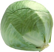 Kool wit BIO 15x1 kg.