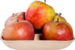 Appel Rode van Boskoop BIO 1x600 gr.